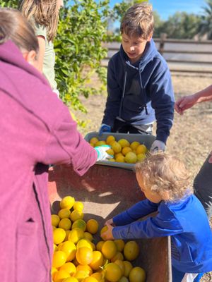 Field Trip Student Donation