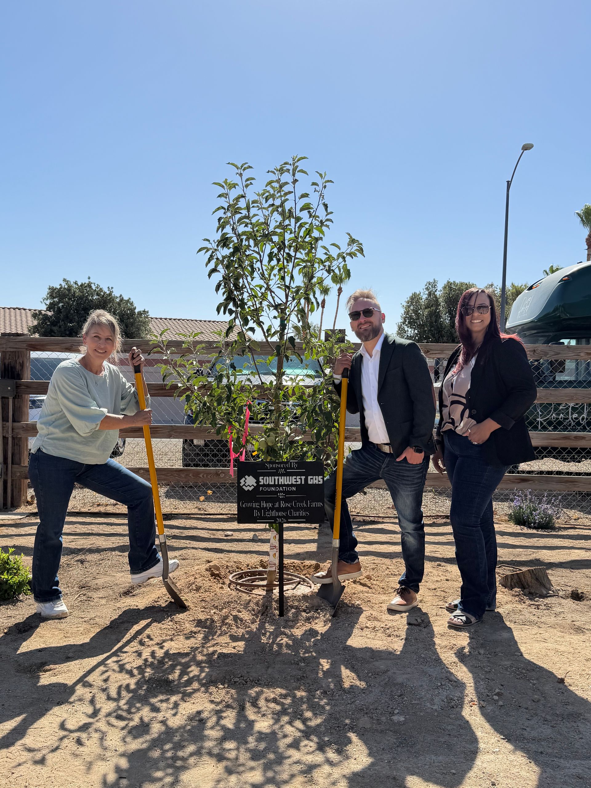 Sponsor a Tree
