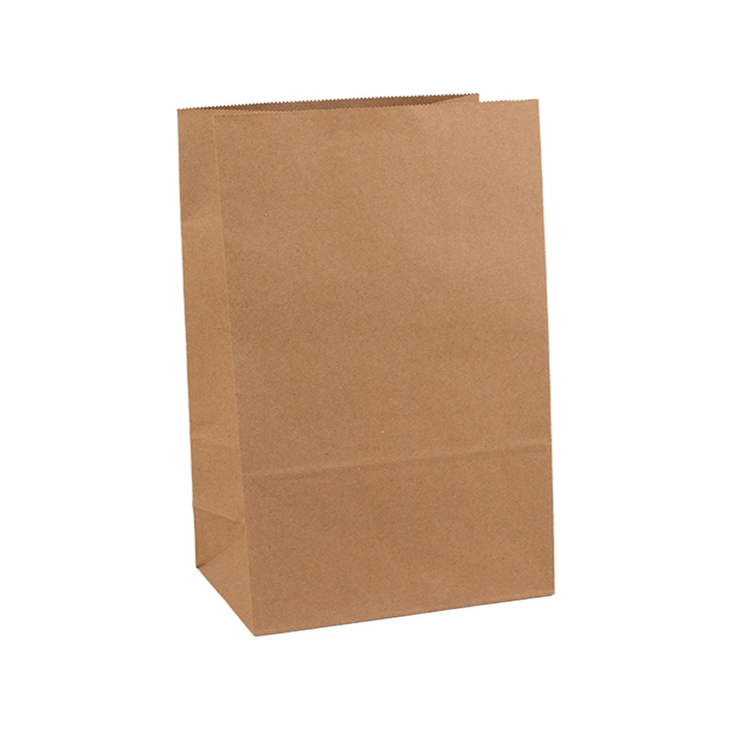 PAPER BAG 520 250