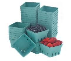 PULP CONTAINERS
