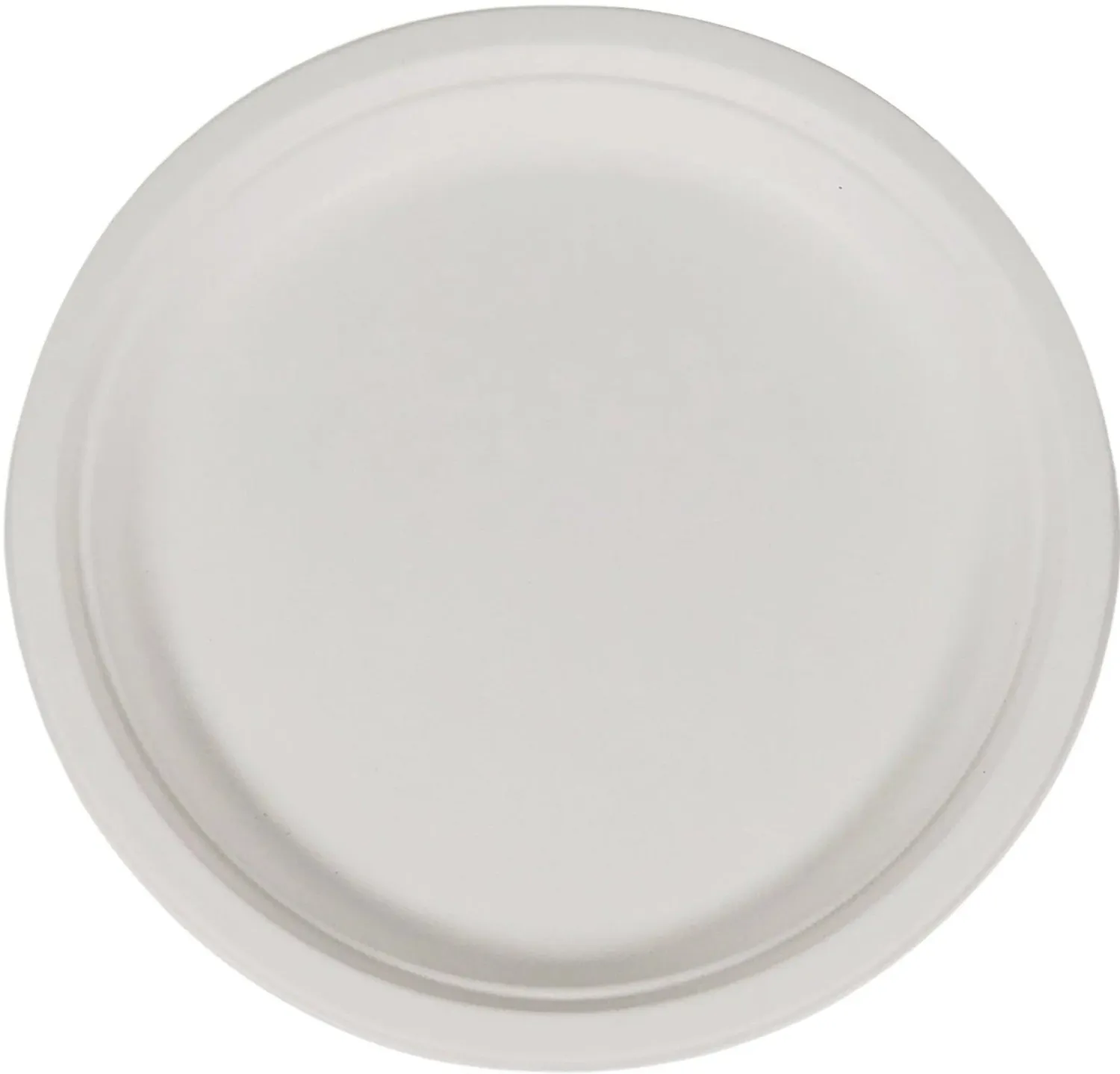 WHITE PAPER PLATE 10&quot;  500