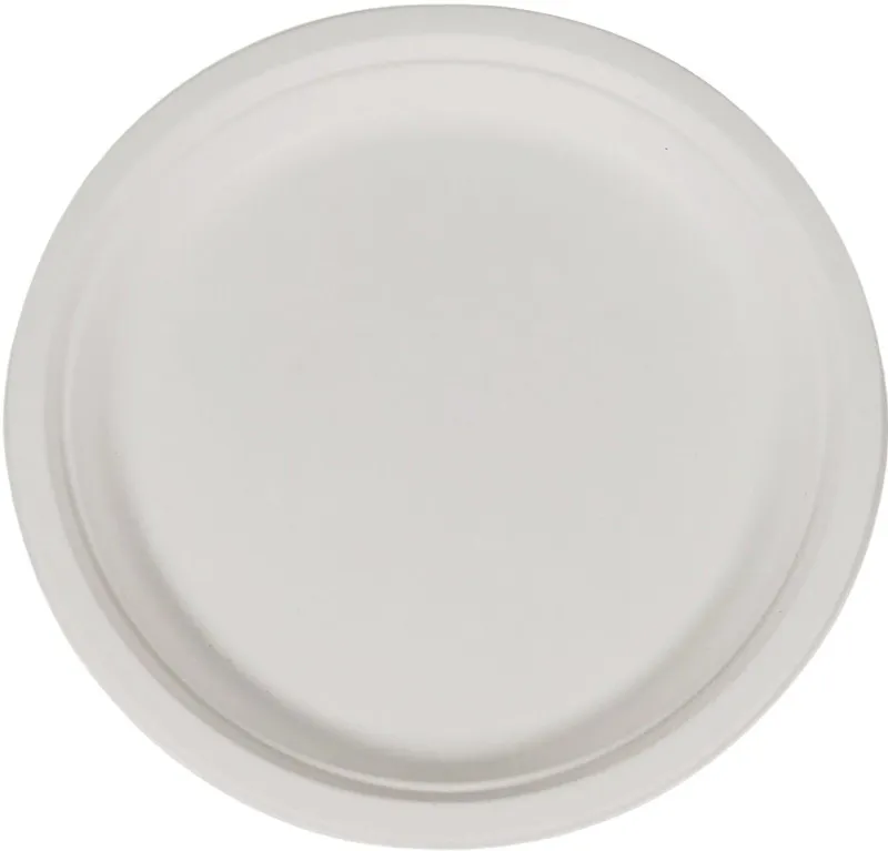 WHITE PAPER PLATE 10&quot;  500