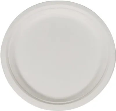 WHITE PAPER PLATE 10"  500