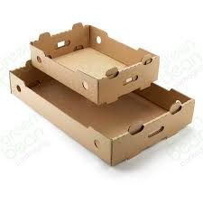 PRODUCE TRAY 17.5x13.25x4.5