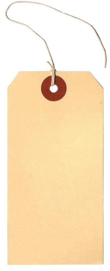 STRUNG TAG 1 29/32&quot; X 1 1/4&quot; 1000 321052