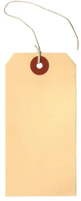 STRUNG TAG 1 29/32" X 1 1/4" 1000 321052 #6