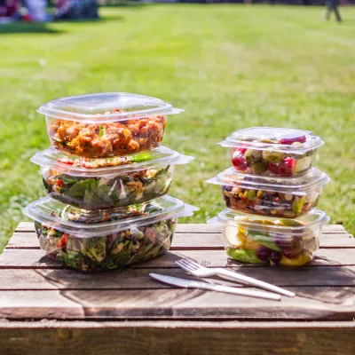 HINGED DELI CONTAINERS