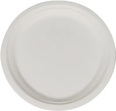 WHITE PAPER PLATE 10"  500