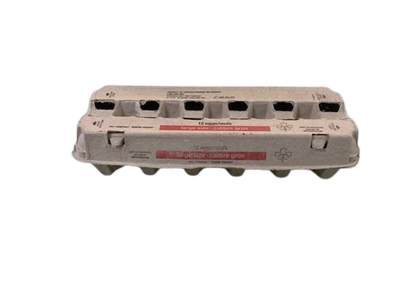 EGG CARTON LARGE 100