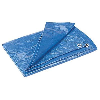 Blue Polly Tarp