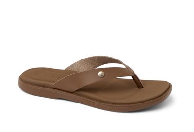 REEF W's Sunny Farrah