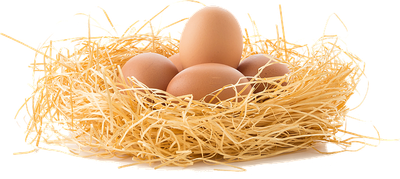 Eier