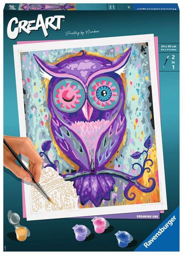 CreArt Painting by Numbers Dreaming Owl