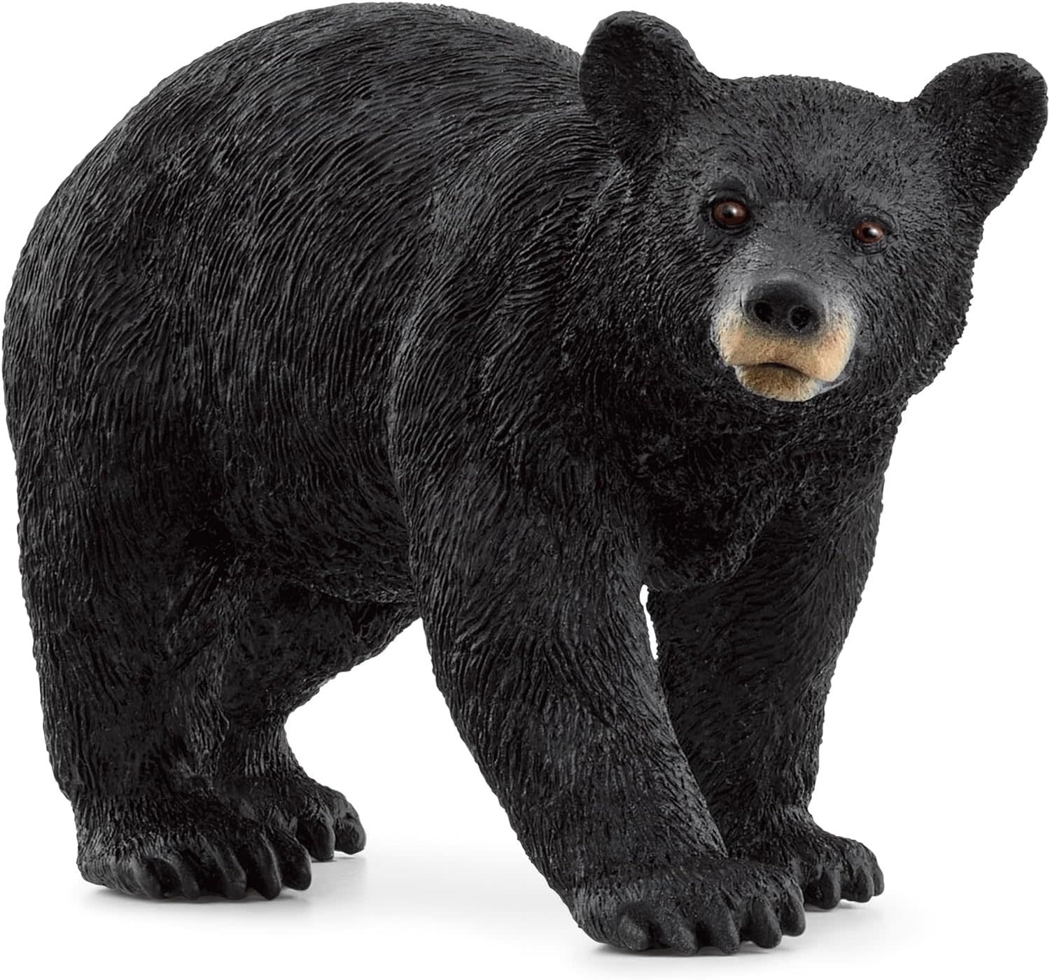 Schleich Wild Life American Bear