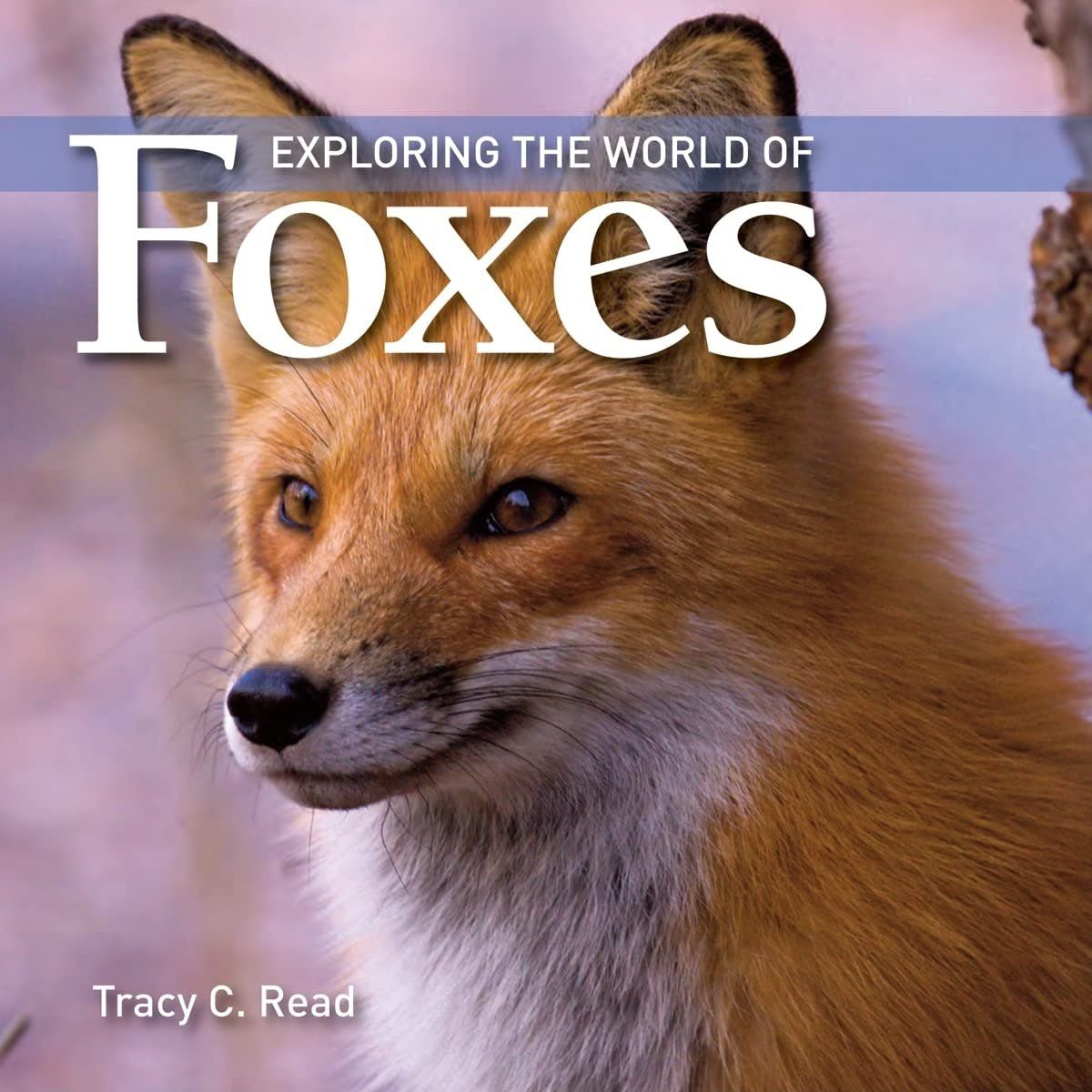 Exploring the World of Foxes Book