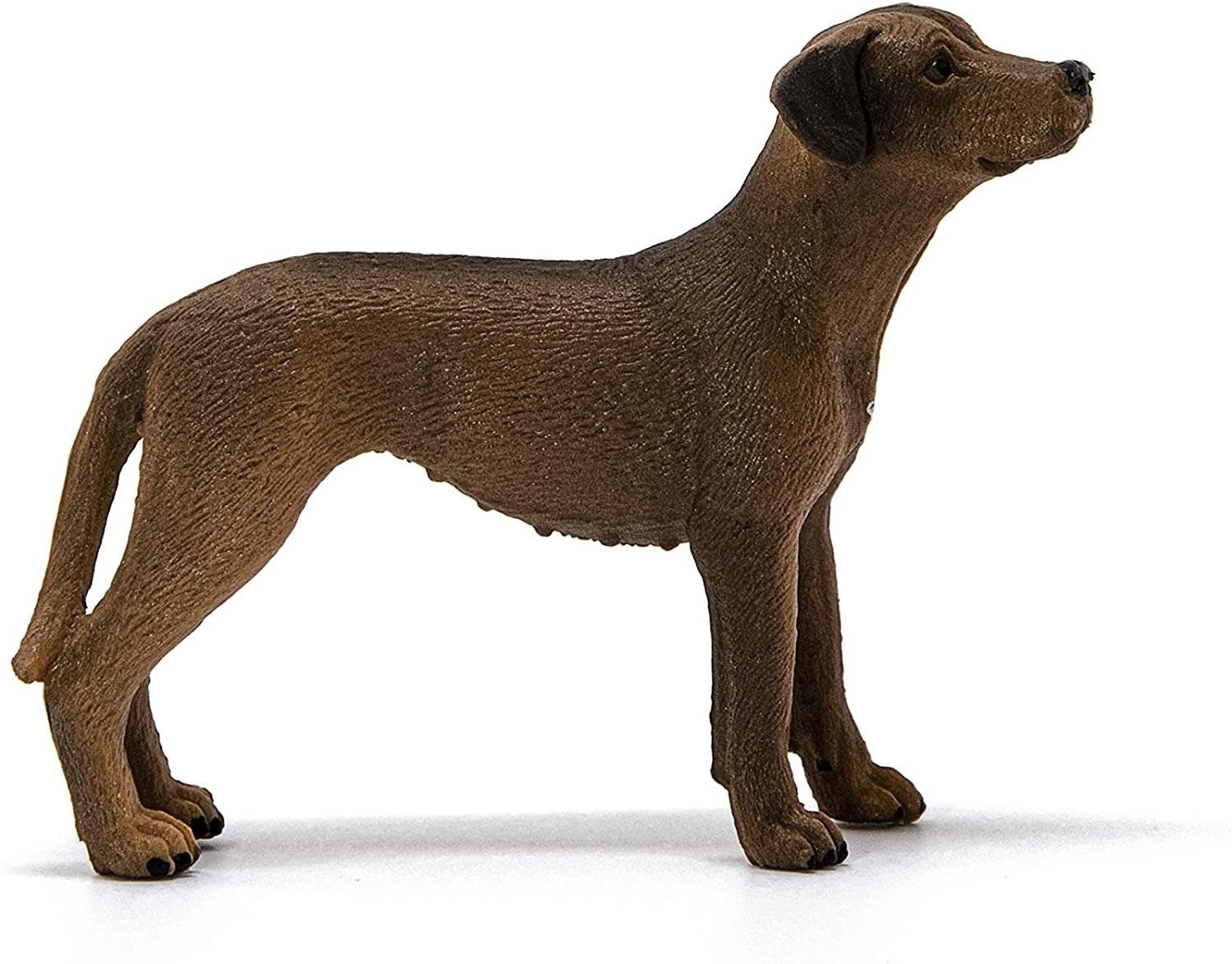 Schleich Farm World Dog Rhodesian Ridgeback