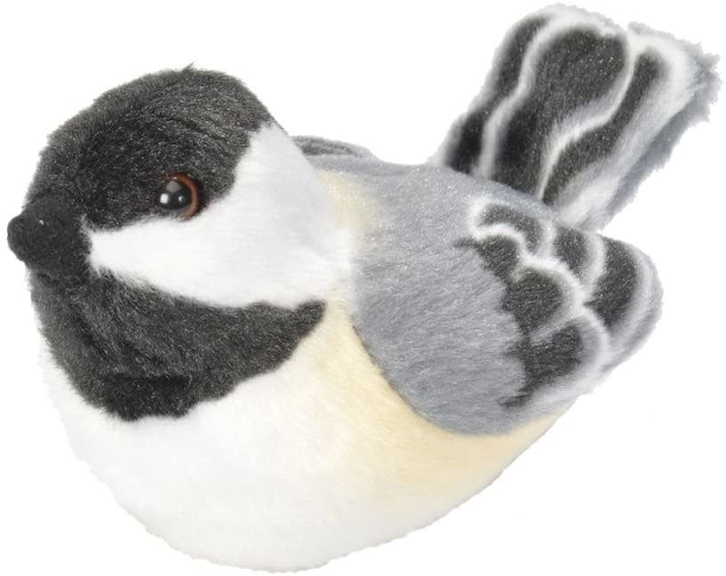 Audubon Birds Black Capped Chickadee