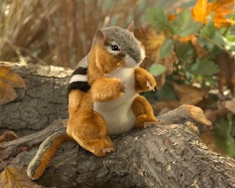 Folkmanis Puppet Chipmunk