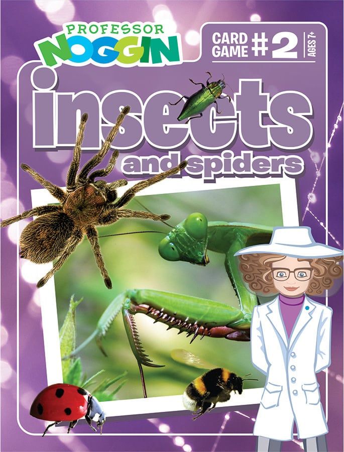 Professor Noggin&#39;s Trivia Game: Insects and Spiders