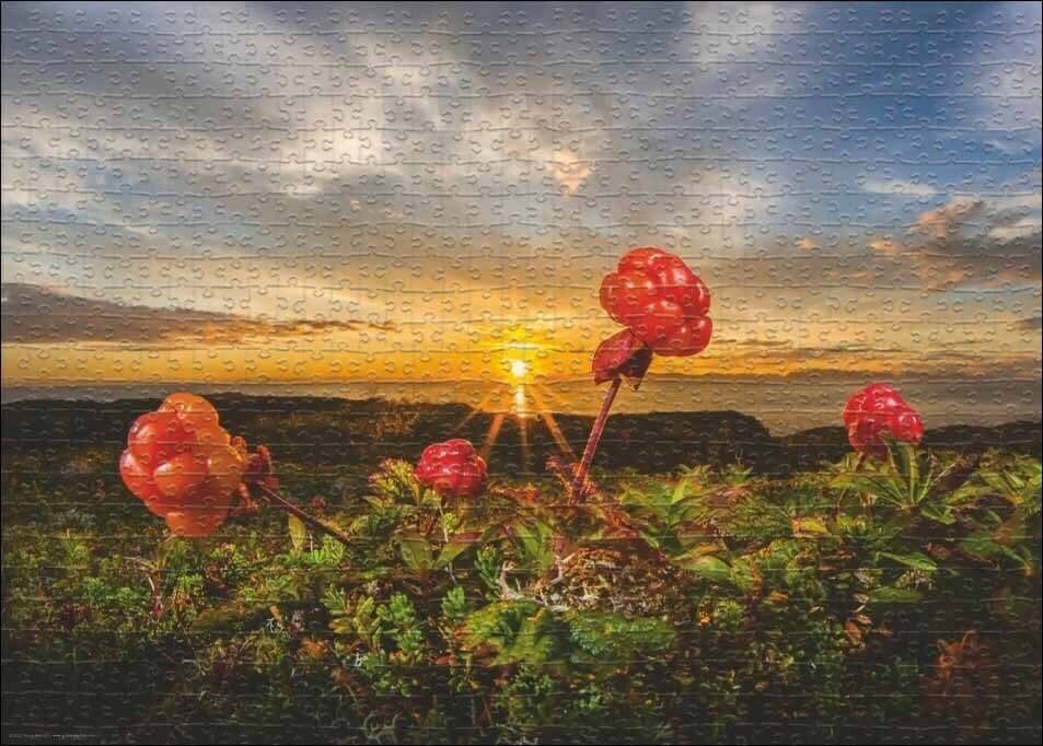 Heye Puzzle 1000pc Cloudberries