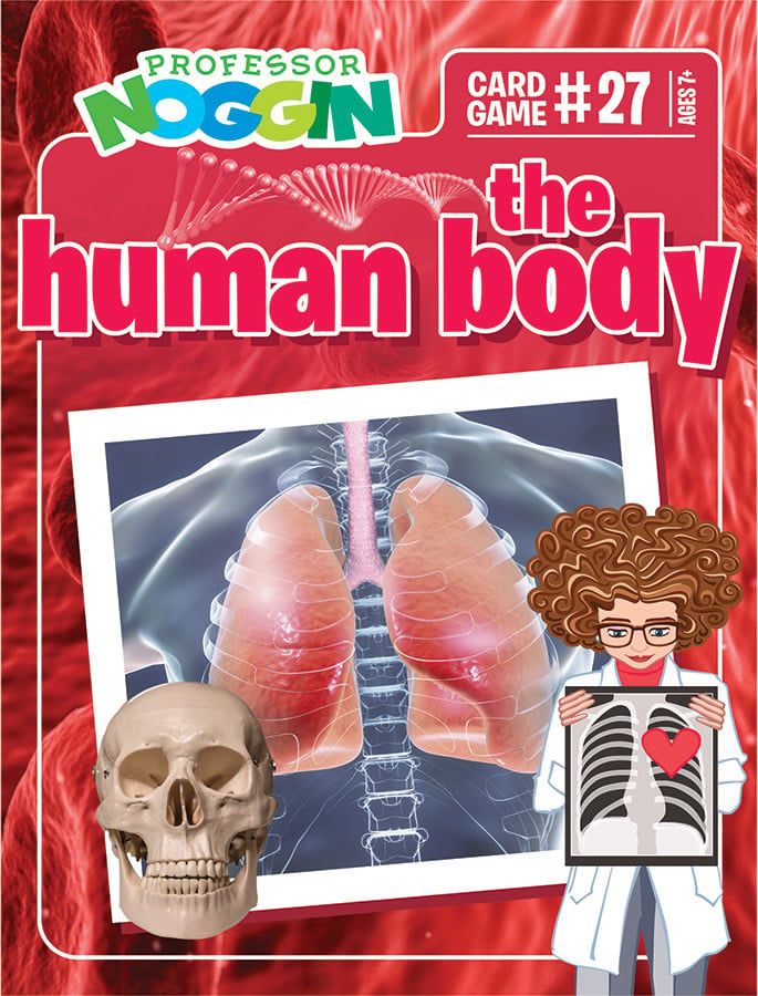 Professor Noggin&#39;s Trivia Game: The Human Body