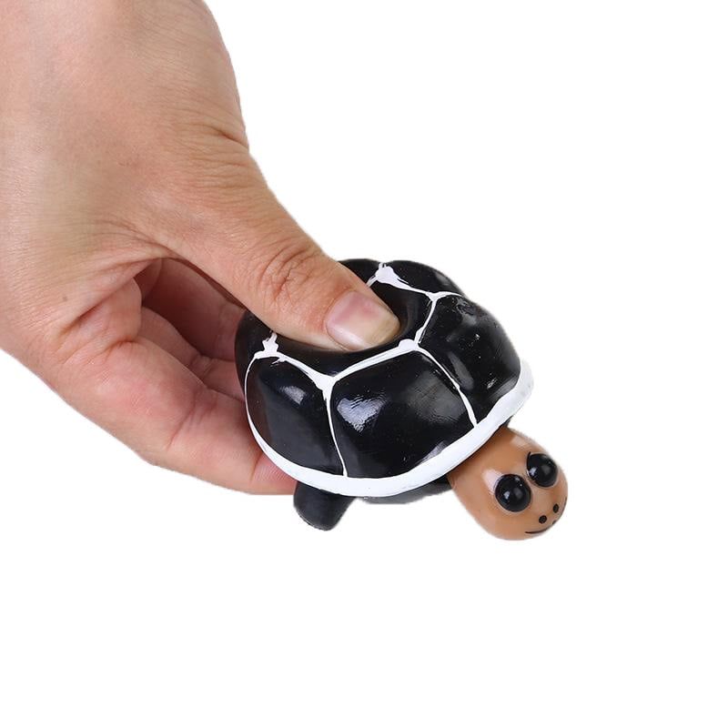 Squeeziii Turtle