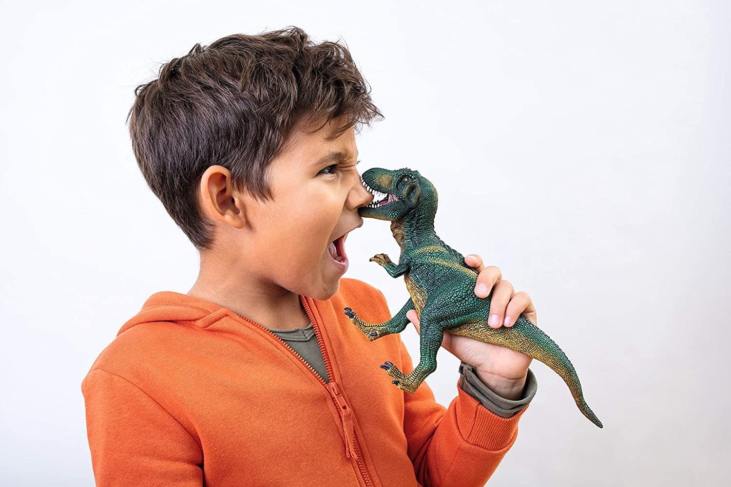 Schleich Dinosaur Tyrannosaurus Rex