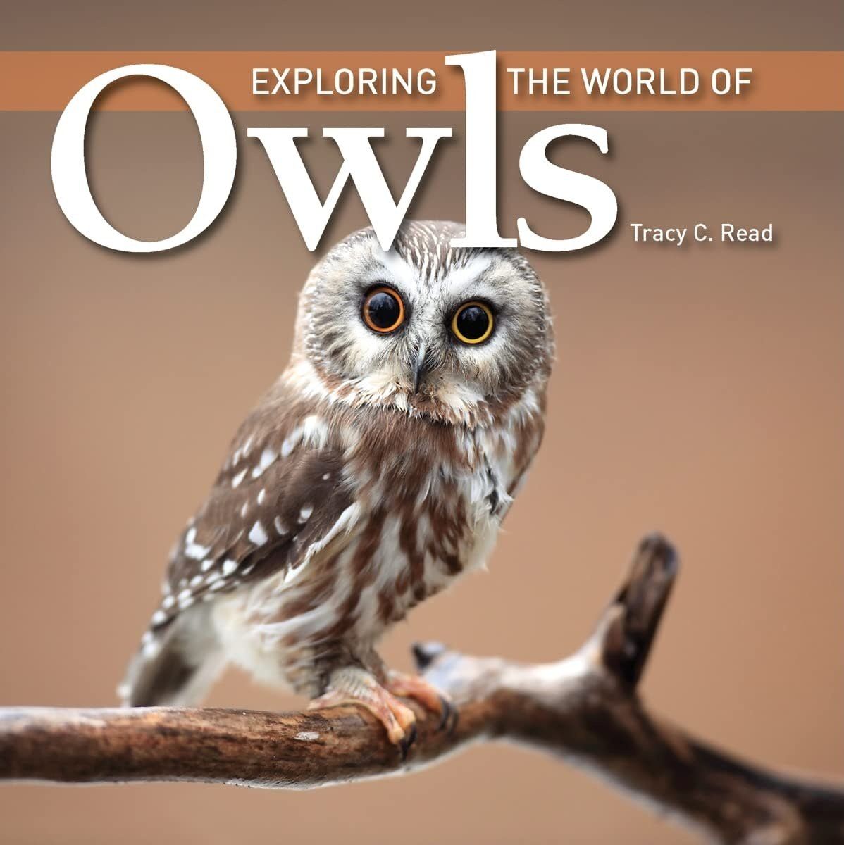 Exploring the World of Owls Book