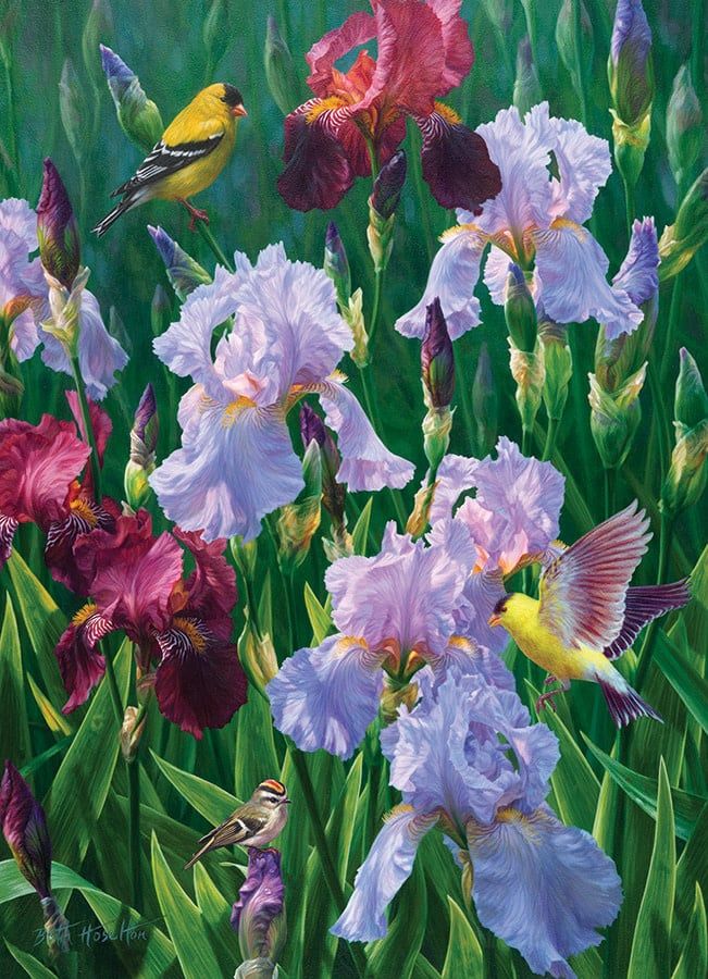 Cobble Hill  Puzzle 1000pc Spring Glory