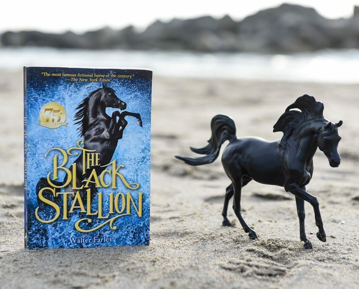 Breyer Book &amp; Horse Set Black Stallion