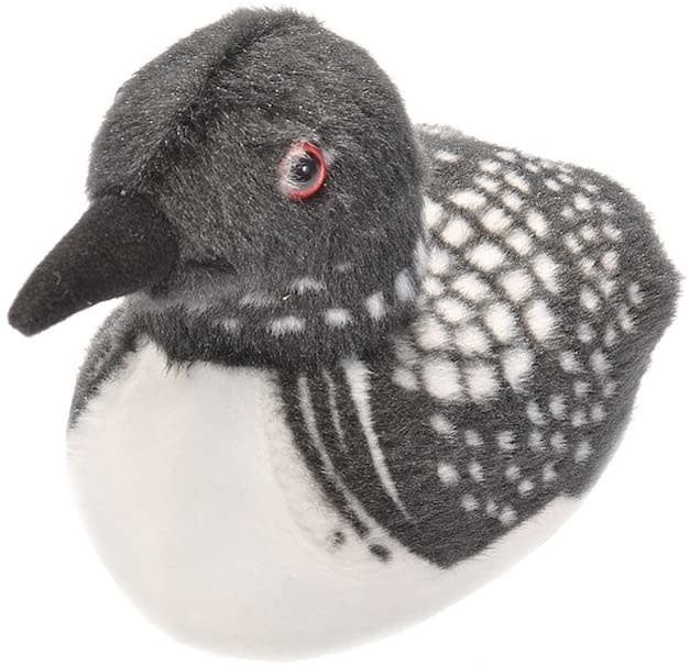 Audubon Birds Common Loon