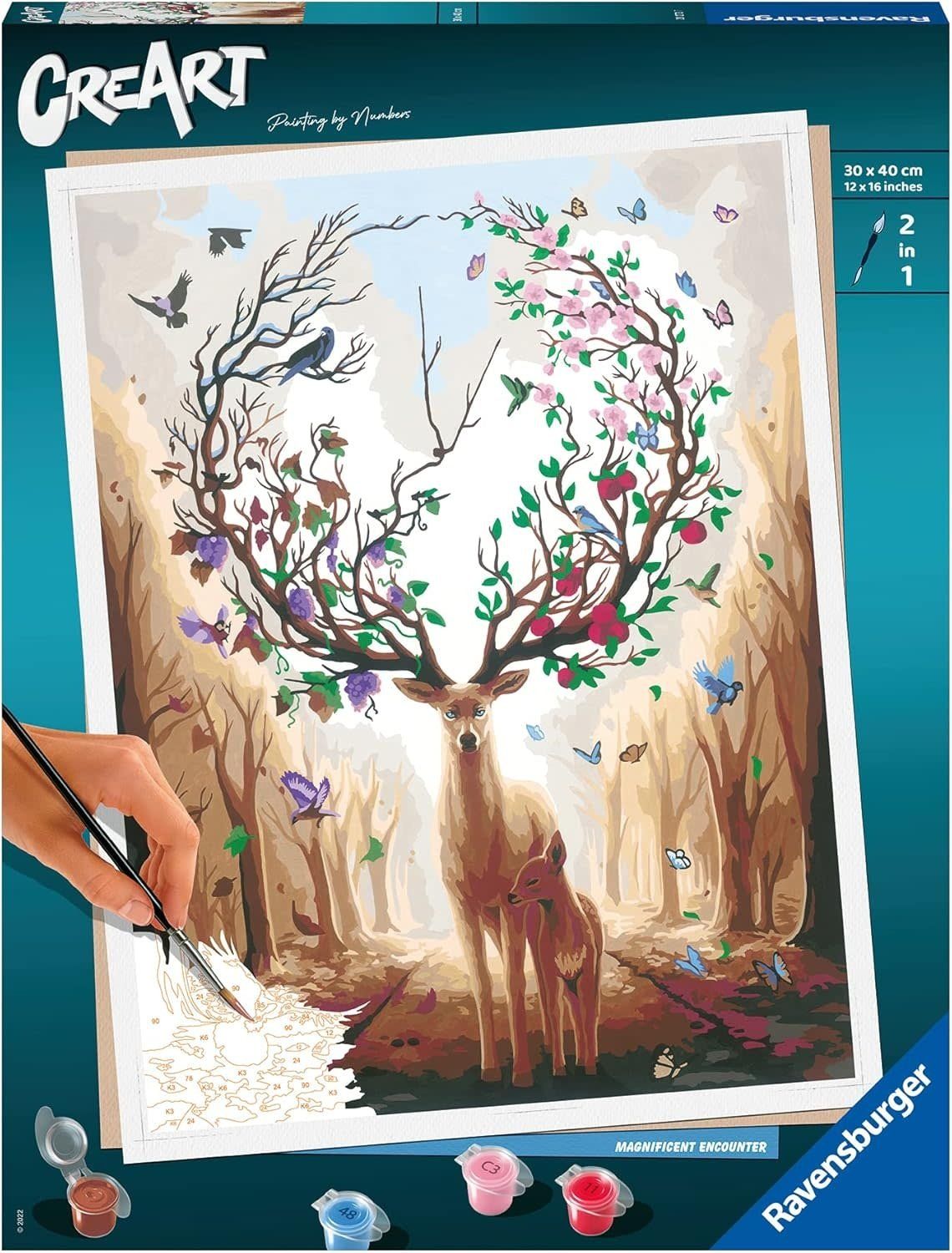 CreArt Adult 30 x 40 cm Painting by Numbers Magnificent Encounter