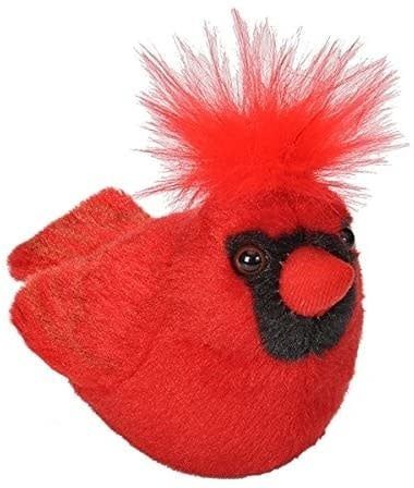 Audubon Birds Northern Cardinal