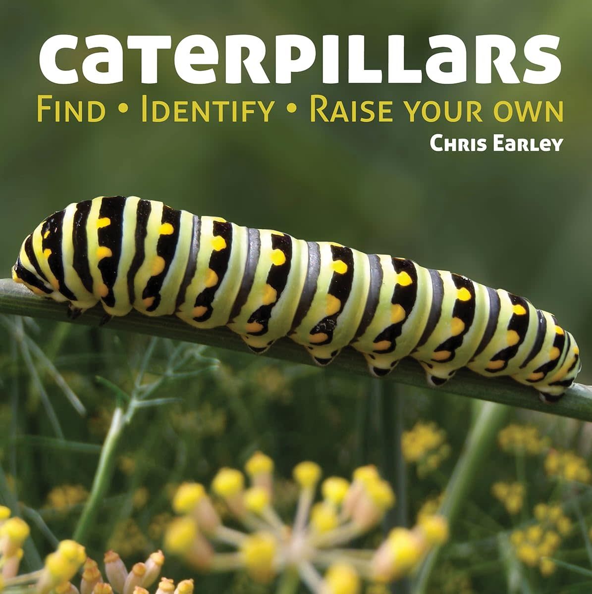 Caterpillars Book: Find, Identify, Raise your Own