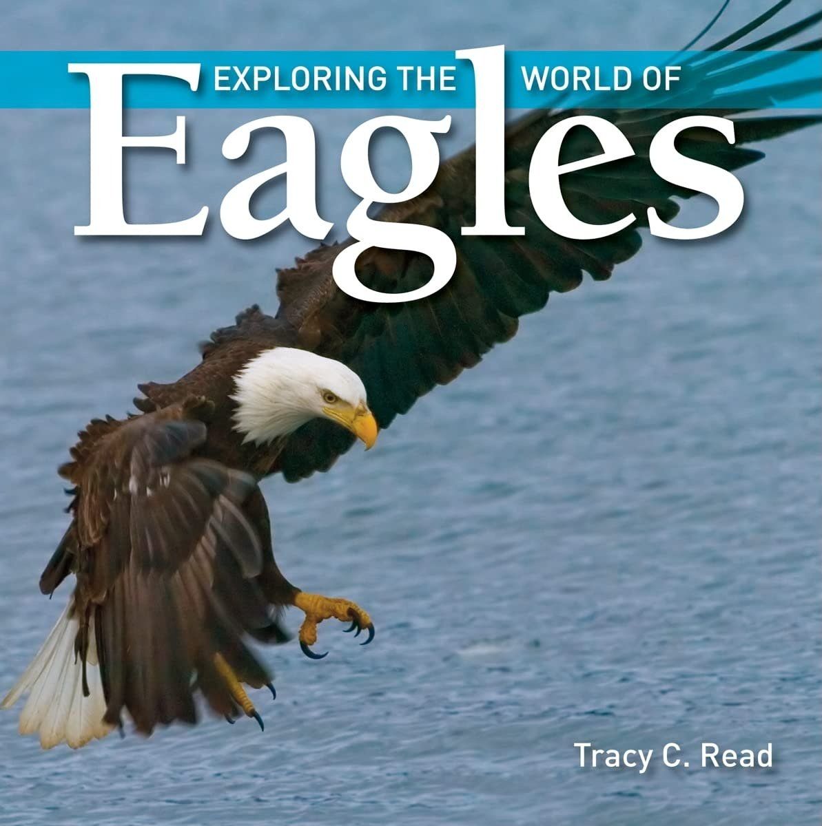 World of Eagles Book