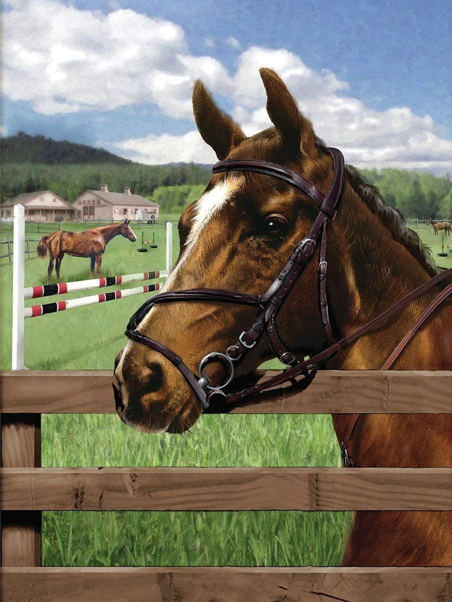 Paint by Numbers Equine Paddock