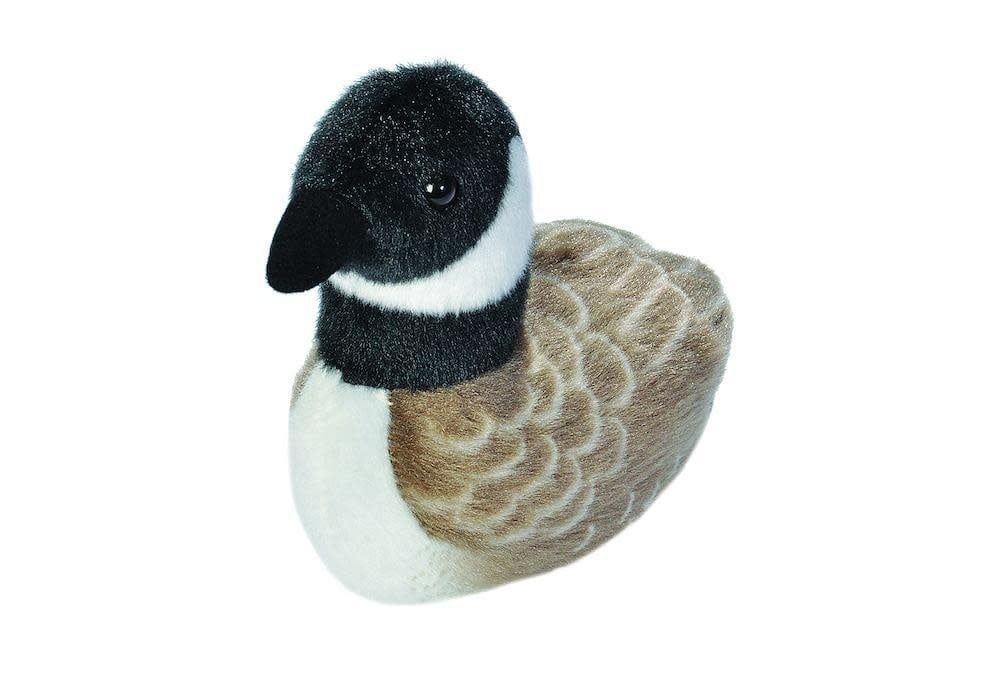 Audubon Birds Canadian Goose