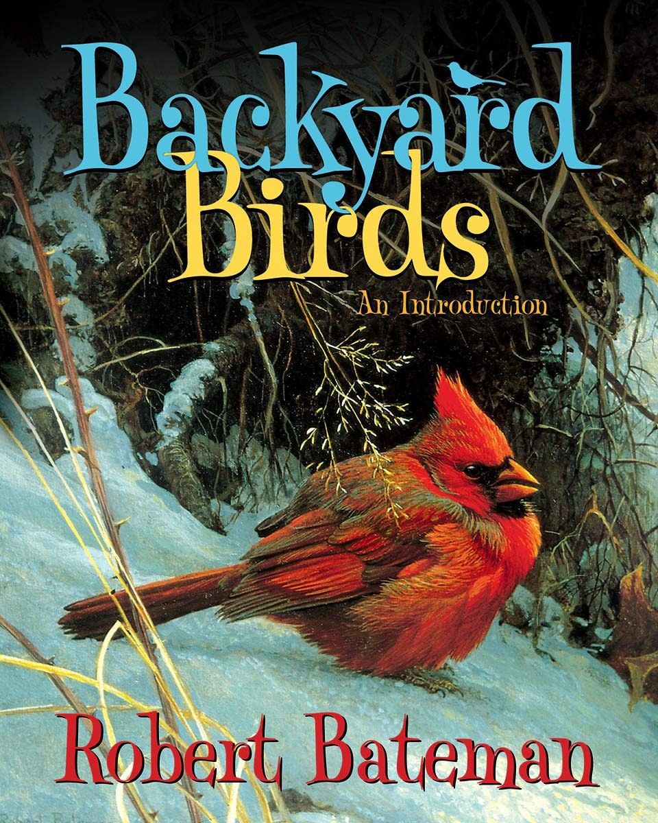 Backyard Birds Book