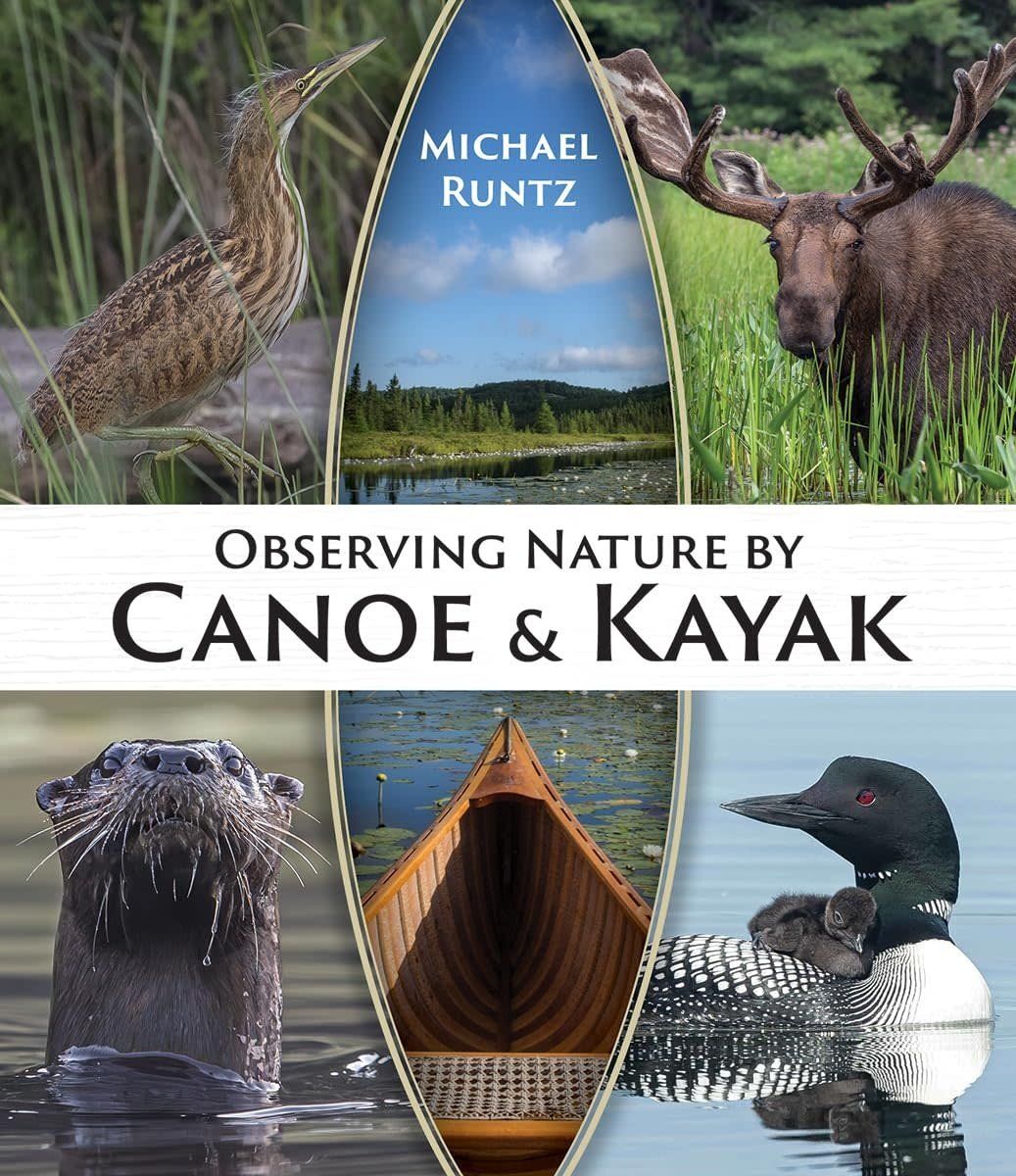 Observing Nature by Canoe &amp; Kyak