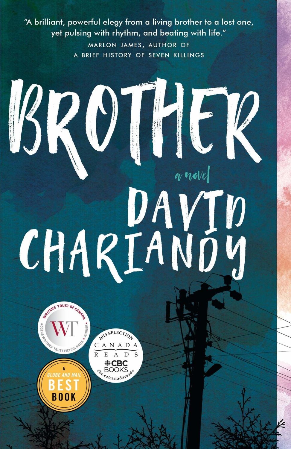 Brother Novel