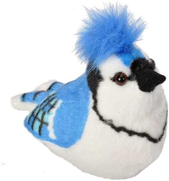 Audubon Birds Blue Jay