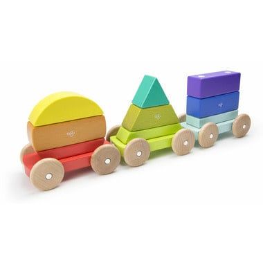 Tegu Magnetic Wooden Blocks Shape Train Rainbow