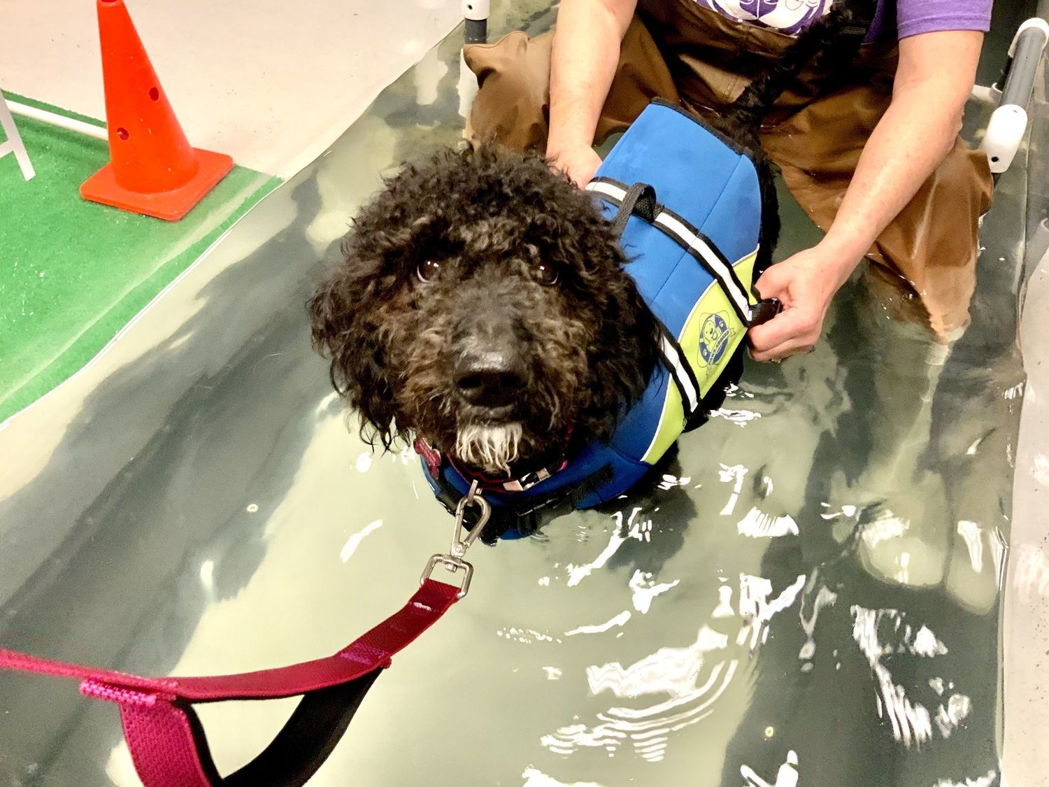 Rehab/Hydrotherapy Per Visit