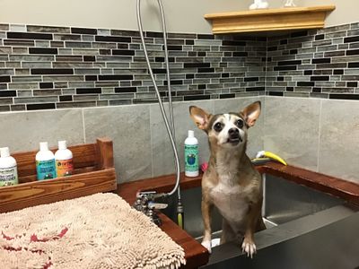 Teacup Spa Visit