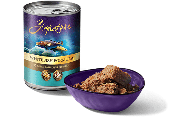 Zignature® Whitefish Wet Formula 13 OZ