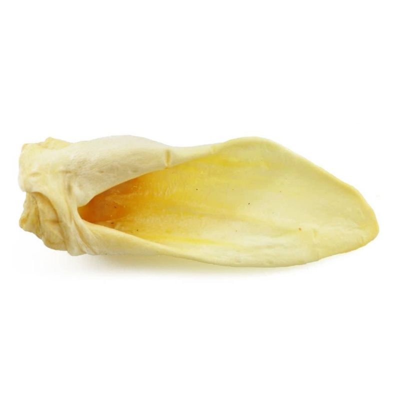 Red Barn Lamb Ear