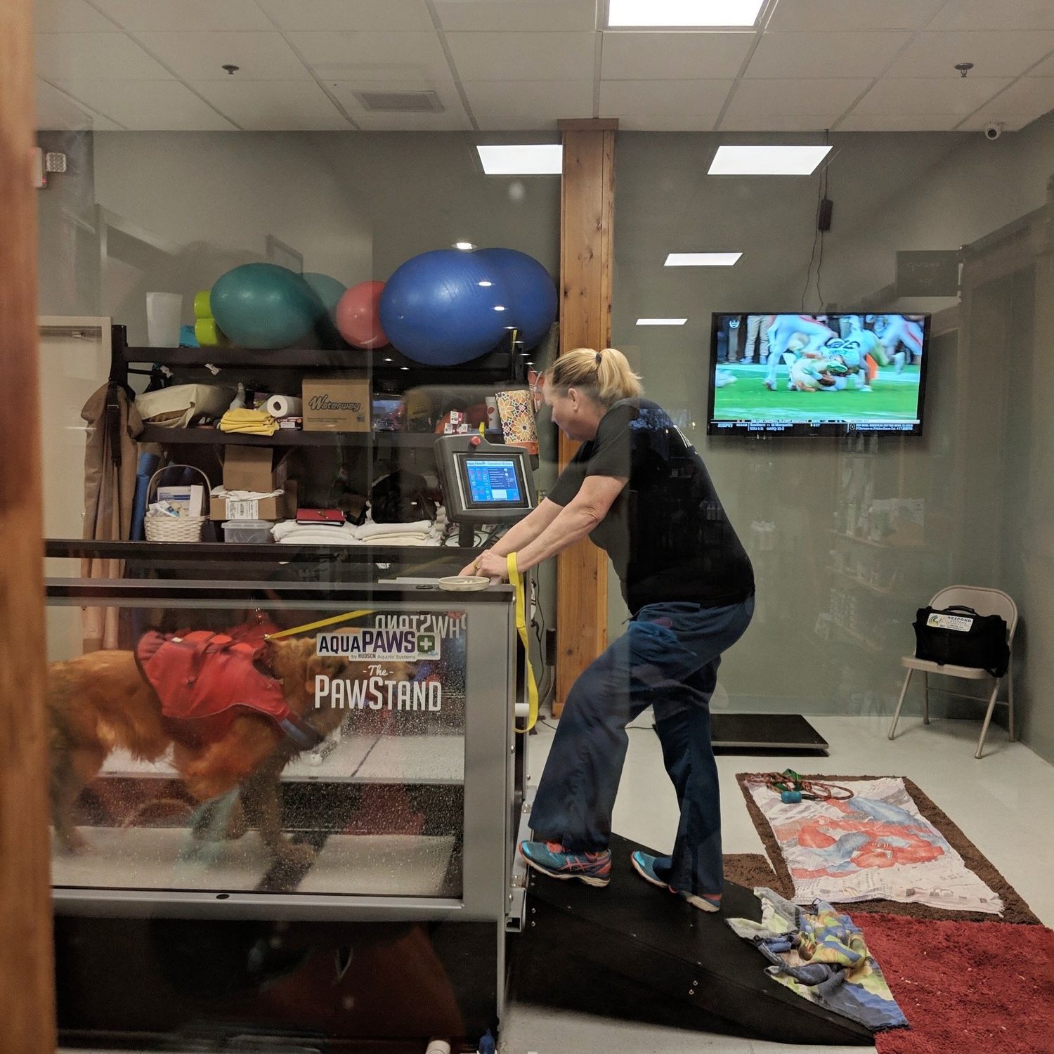 Fitness/Hydrotherapy Including Initial Consultation