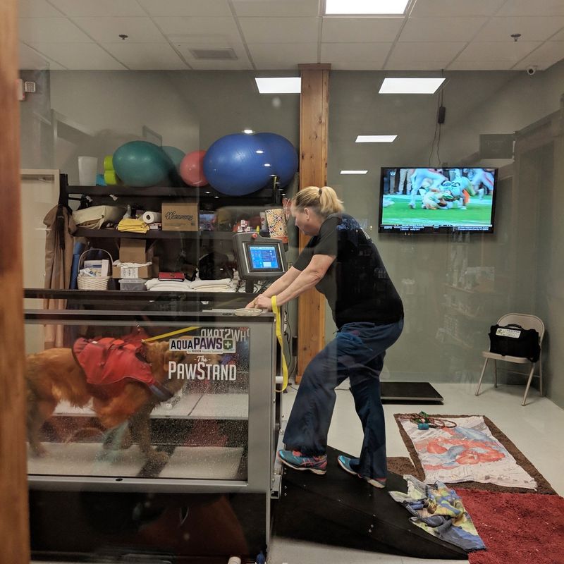 Fitness/Hydrotherapy Including Initial Consultation
