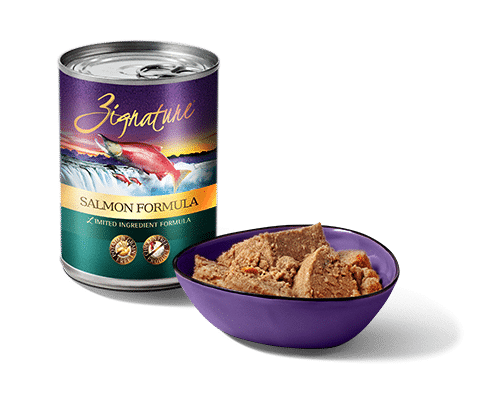 Zignature® Salmon Wet Formula 13 OZ