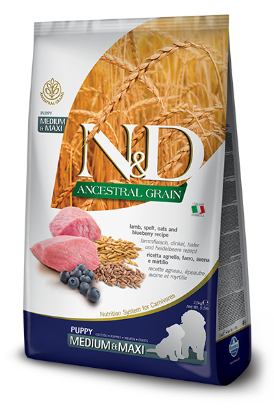 Farmina ANCESTRAL GRAIN Lamb &amp; Blueberry Puppy Med-Maxi 5.5 LB